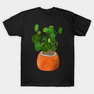 Stephania Erecta Plant Illustration T-Shirt